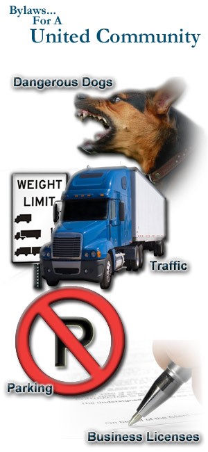 Town of Creighton Bylaws